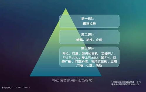2017中國網(wǎng)絡(luò)視聽發(fā)展報告 用戶付費意識崛起與網(wǎng)生內(nèi)容品質(zhì)化轉(zhuǎn)型