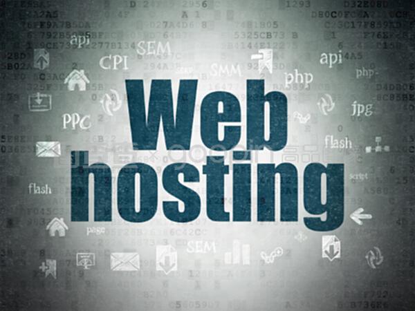 數(shù)字數(shù)據(jù)紙背景下的網(wǎng)絡(luò)開發(fā)與網(wǎng)絡(luò)托管概念解析